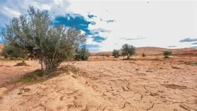 الأراضي